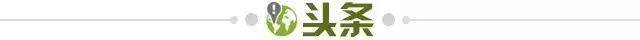 491dec3f-1cfc-46ea-a38b-5e7ed78ac052.jpg@!img01